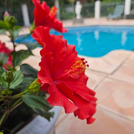 Les Jardins Du Patriarche Hotel Агд Екстер'єр фото