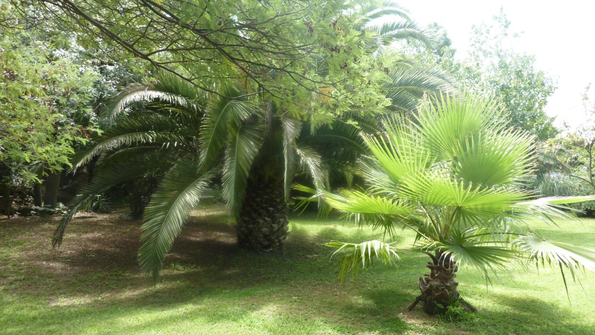Les Jardins Du Patriarche Hotel Агд Екстер'єр фото