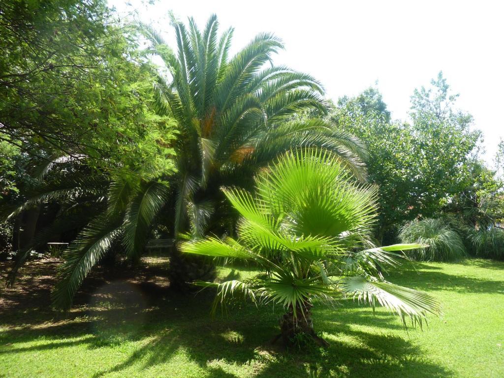 Les Jardins Du Patriarche Hotel Агд Екстер'єр фото